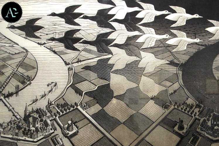 suddivisone del piano di Escher 