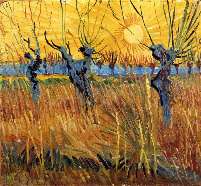 van Gogh| Willows pruned at sunset