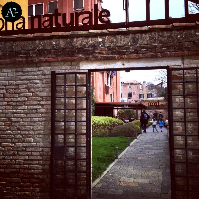 museo storia naturale di Venezia
