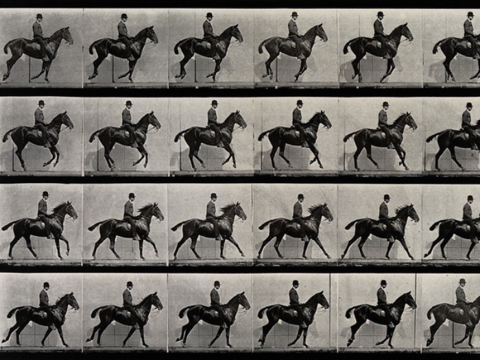 Eadweard_Muybridge | a cantering horse and rider