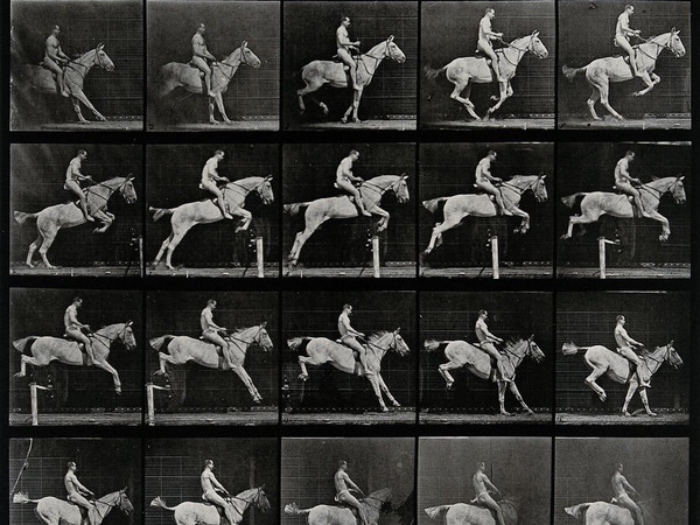 Eadweard_Muybridge | A horse jumping a hurdle