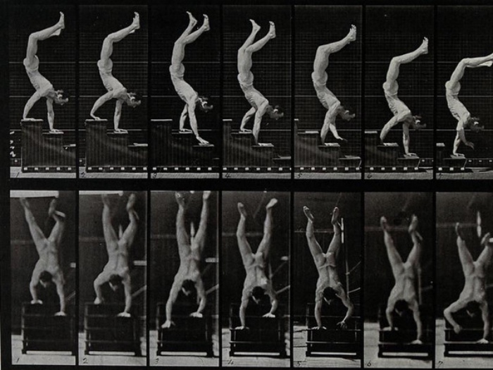 Edward Muybridge | A man walking on his hands