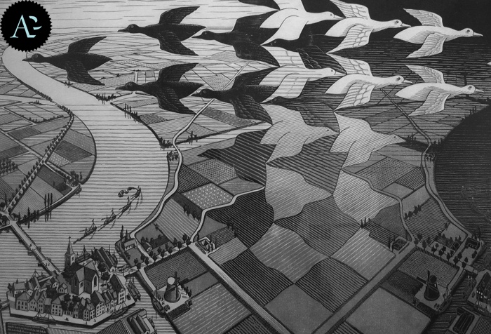 Escher | Giorno e Notte