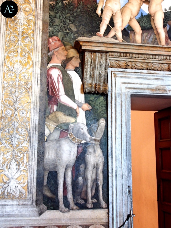Camera degli Sposi | Musei Mantova