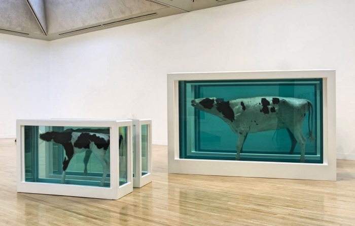Damien Hirst | Mother and Child Divided