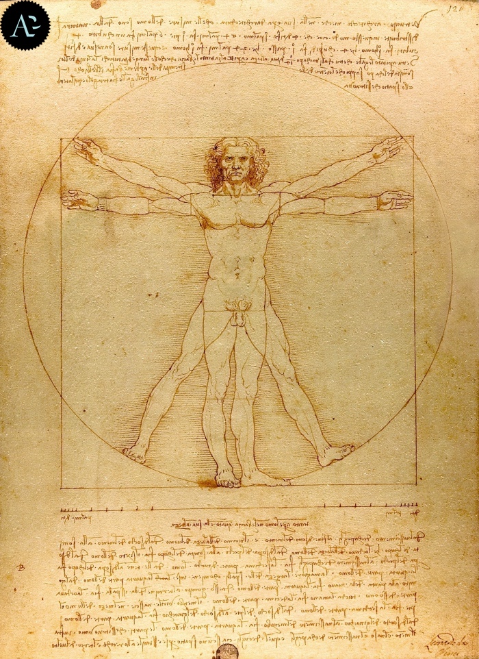 Uomo Vitruviano | Leonardo da Vinci 
