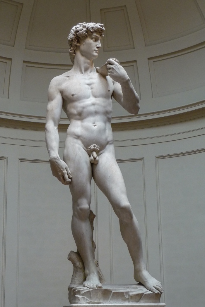 Michelangelo | David | galleria Accademia