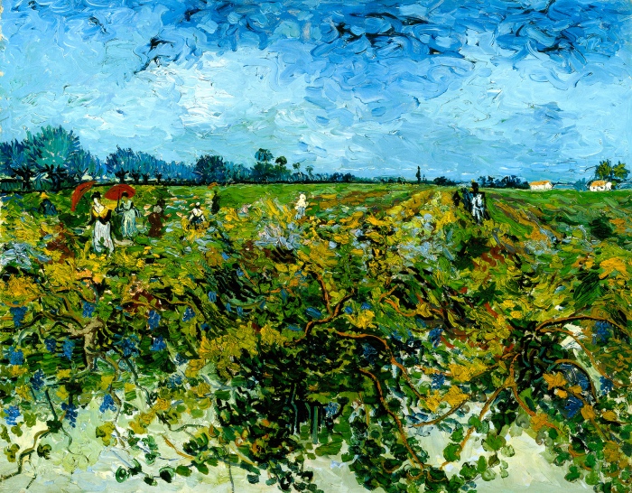Vincent van Gogh | Vigneto