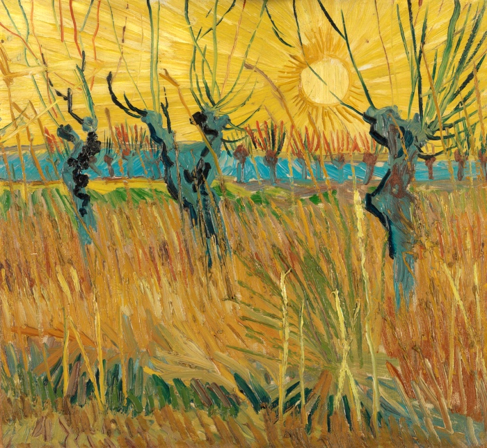Vincent van Gogh | Gelsi potati al tramonto