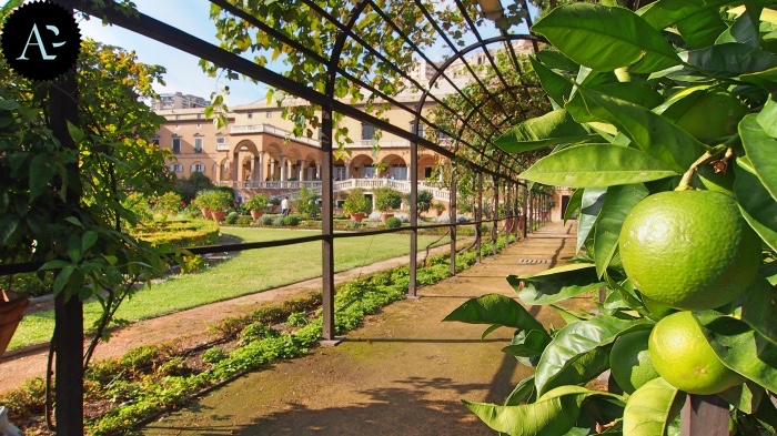 Villa del Principe | giardino