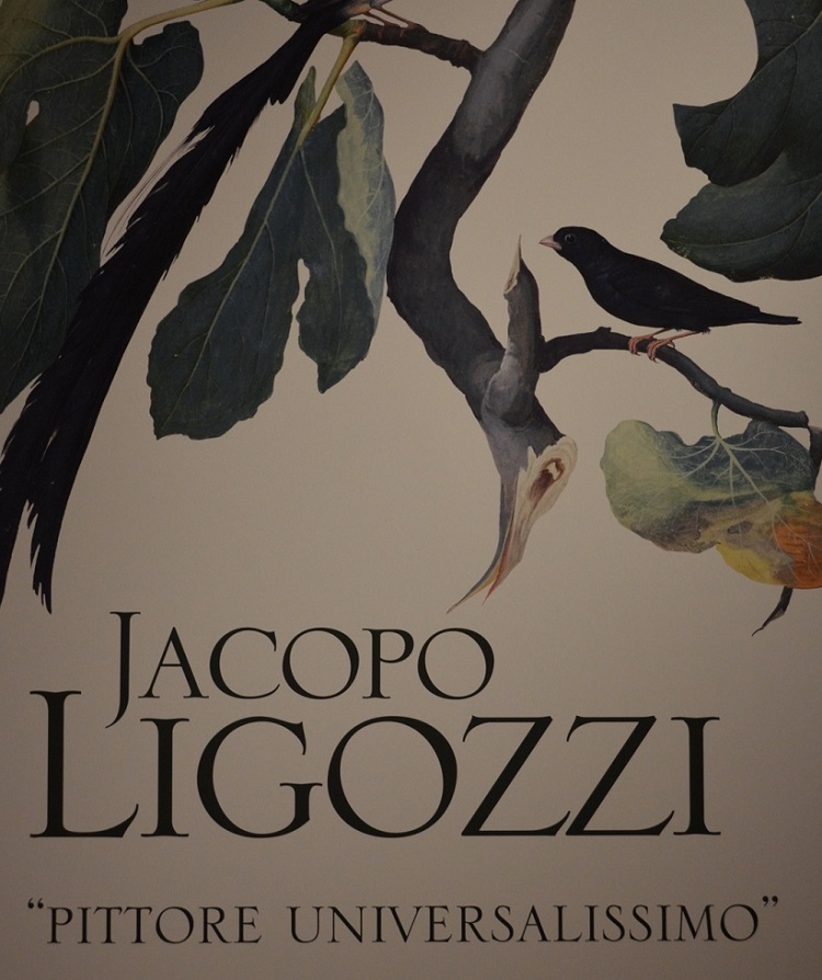 Jacopo Ligozzi 