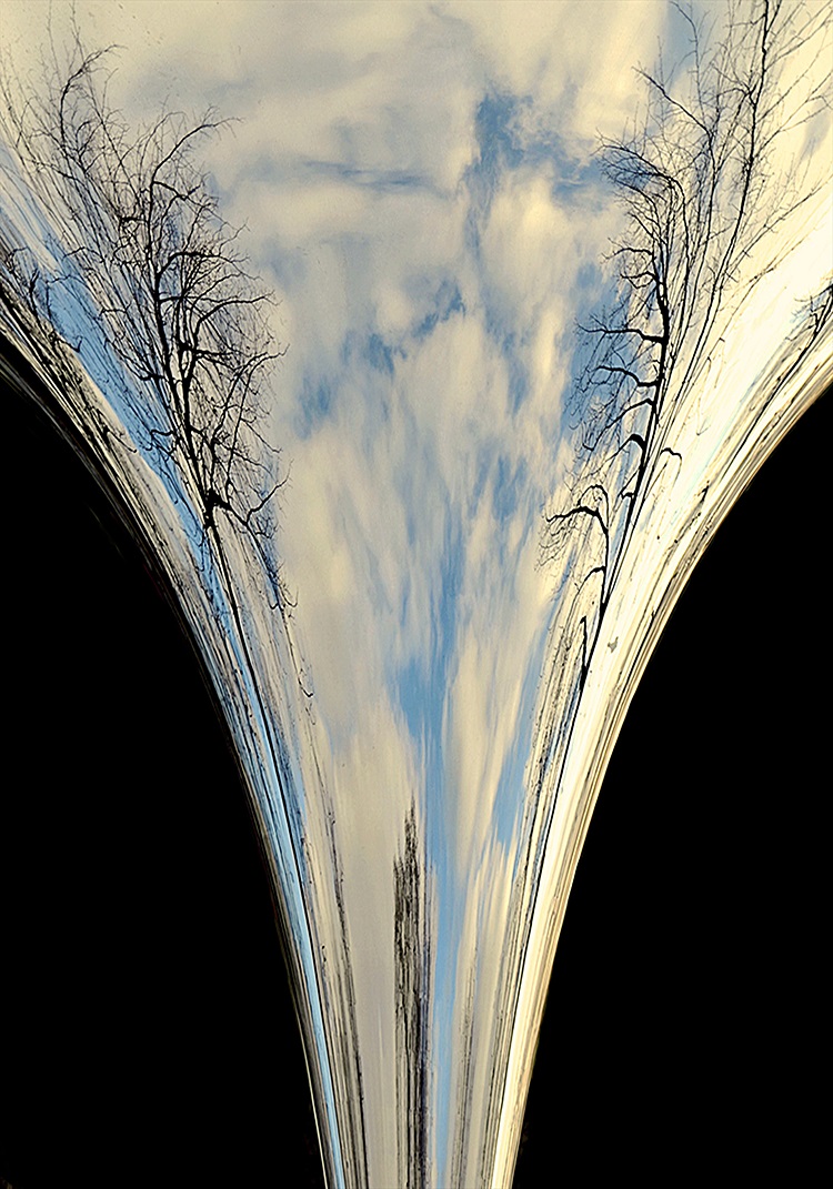 alberi e specchio (100x70), 2012 copia 2