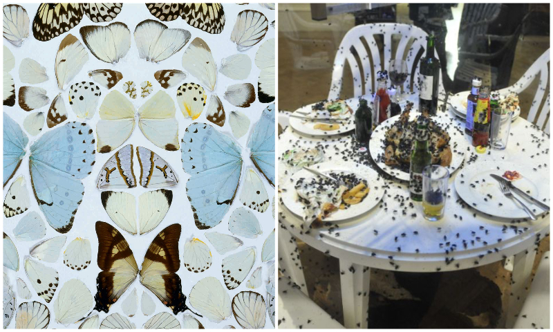 Damien Hirst artista