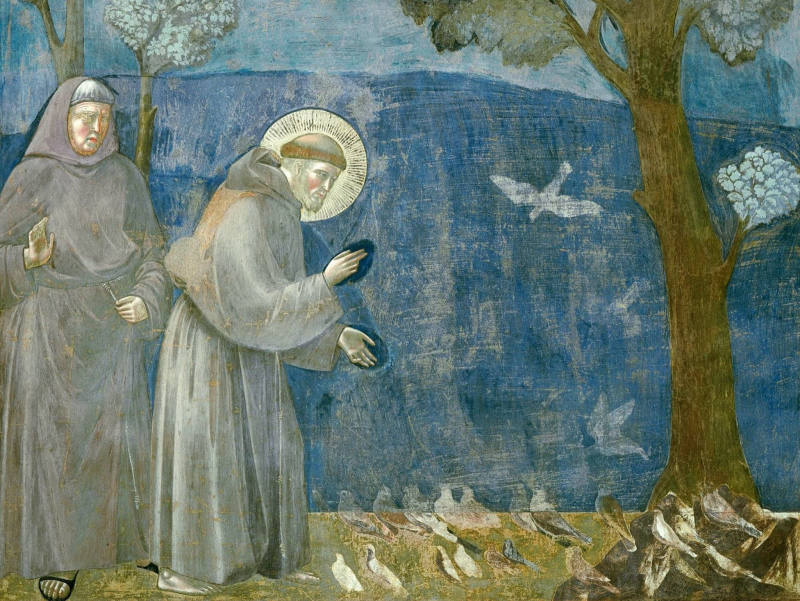 Giotto predica agli uccelli di San Francesco