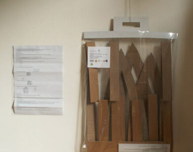 Andia Afsar Keshmiri Gabbia di Cartone01 2014 1