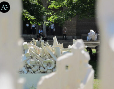 Biennale Venezia 8 1