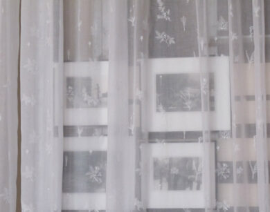 Danh Vo Autoerotic 1