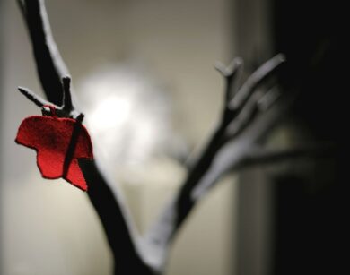 Elena Borghi Treebird photo by Alessandro Migliore 1