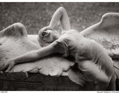 Lili Saatchi guardiane 1