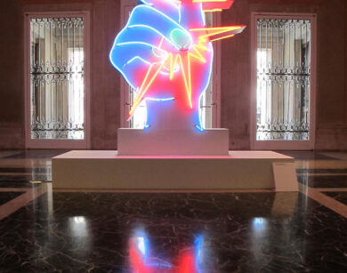 Palazzo Grassi Martial Raysse 1