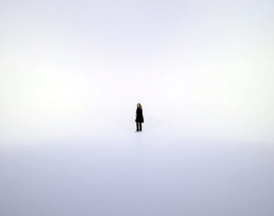 Palazzo Grassi Venezia Wheeler 1