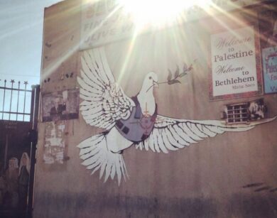 img 20131026 201405 1