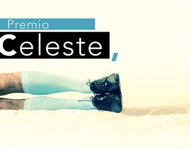 premio celeste 2014 3