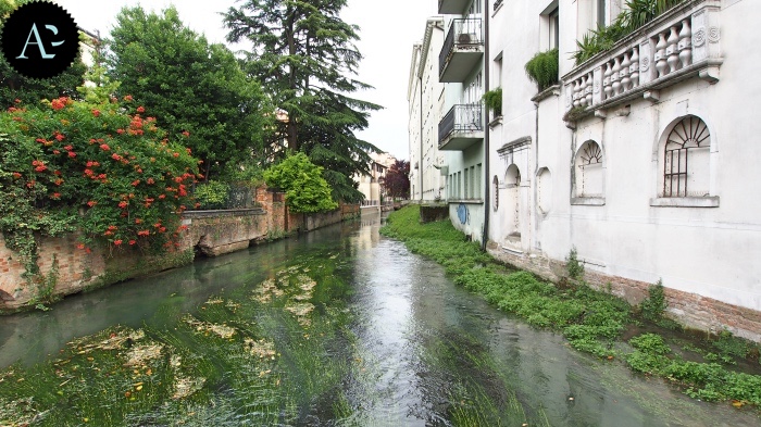 Treviso