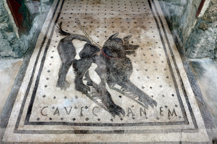 casa del Poeta Tragico | Cave Canem