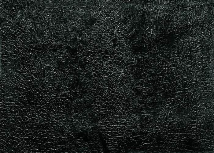  Alberto Burri 