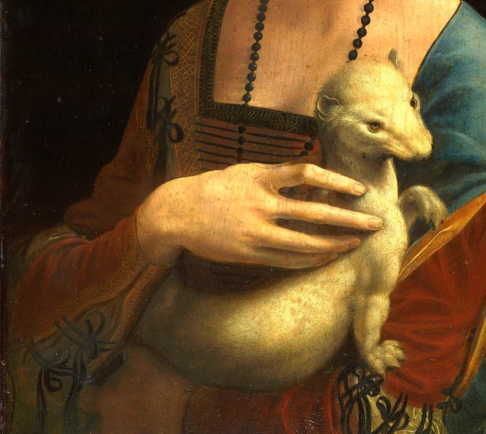 Dama con l'ermellino | Leonardo da Vinci
