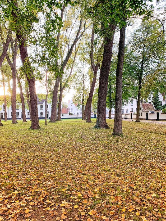 Beguinage | Bruges