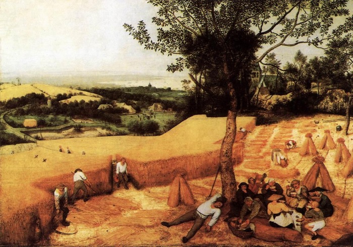 Bruegel il Vecchio | Mietitura