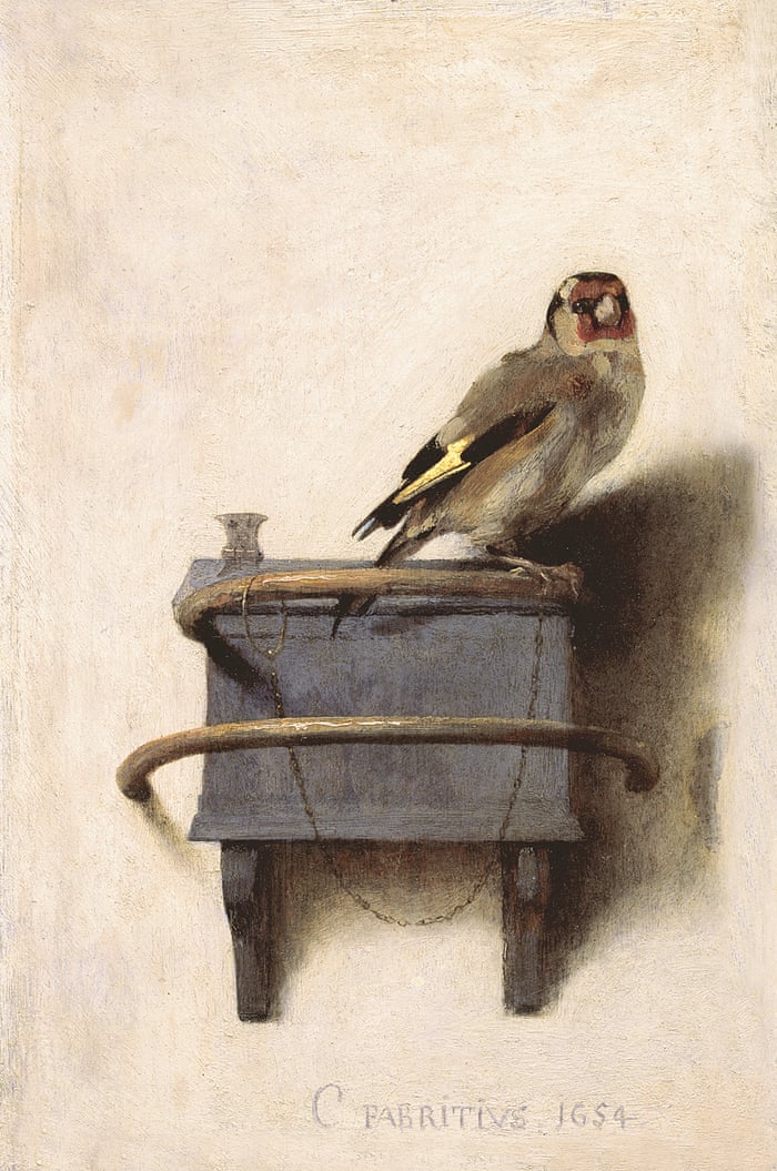 Carel Fabritius | cardellino 