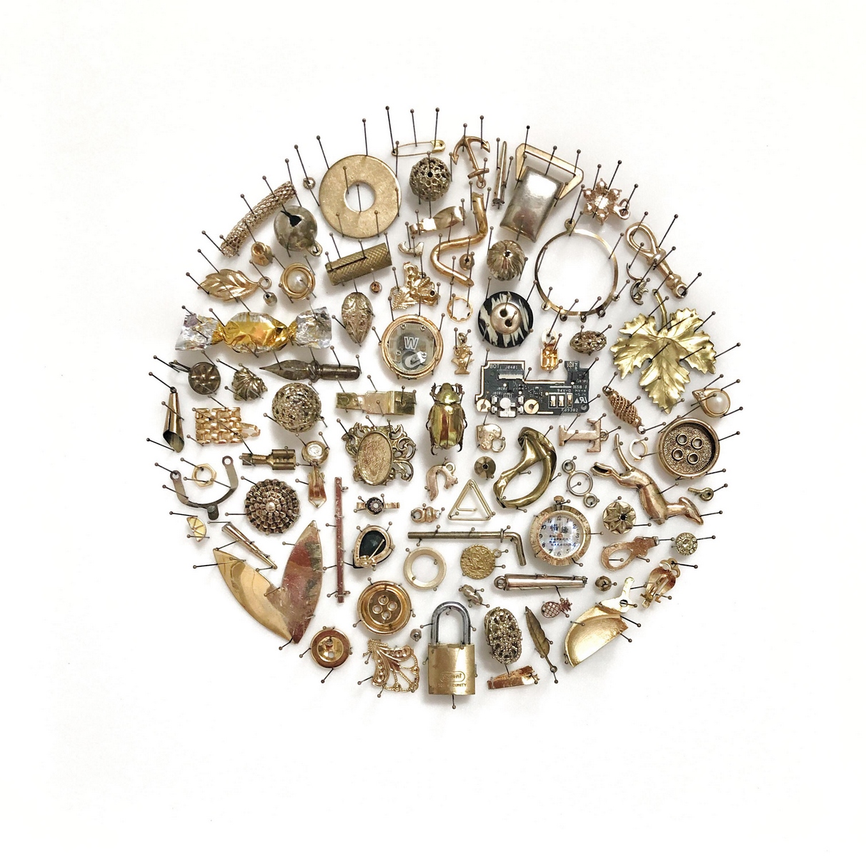 Alice Padovani, Mangiare la luce, 2018, serie Collezione di una gazza ladra, assemblaggio in teca entomologica, tecnica mista, 39x39x5 cm 