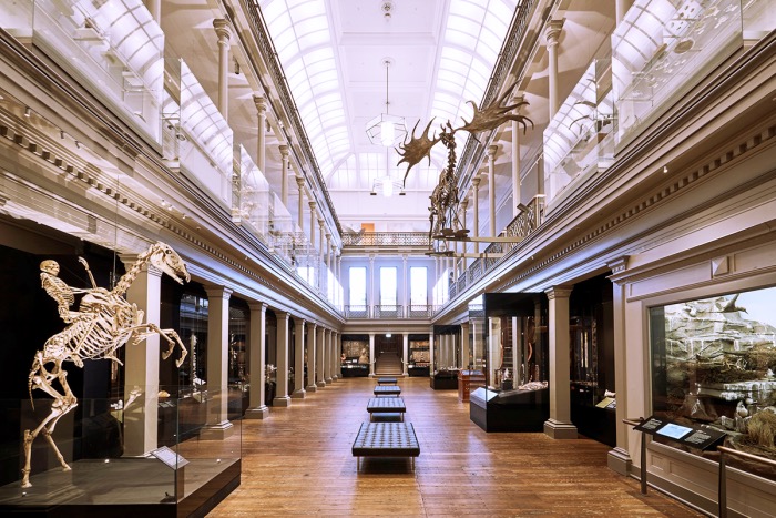 Australian Museum | museums in Australia 