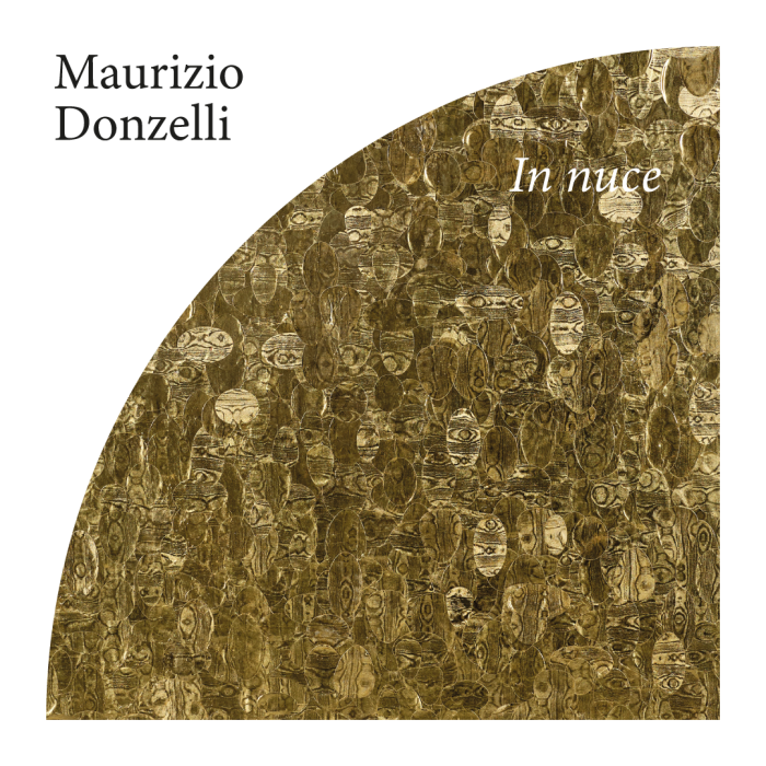 Maurizio Donzelli – In nuce