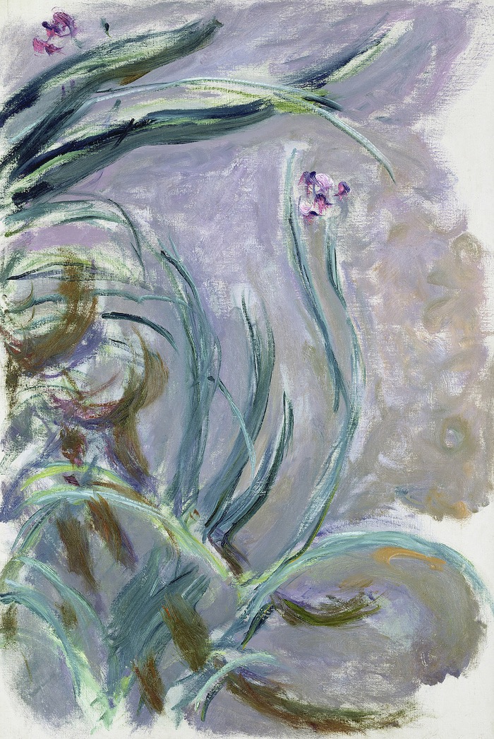 Monet | Iris