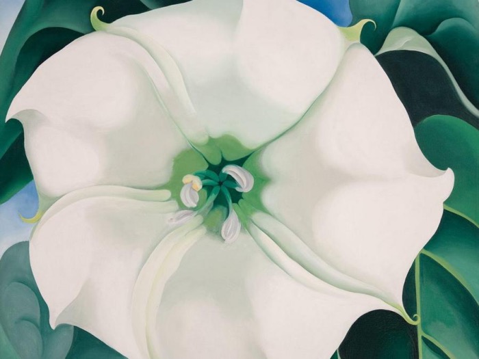 Georgia O'Keeffe | Jimson Weed White Flower No 1