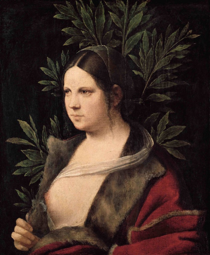Giorgione | Laura