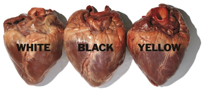 Oliviero Toscani | United Colors of Benetton