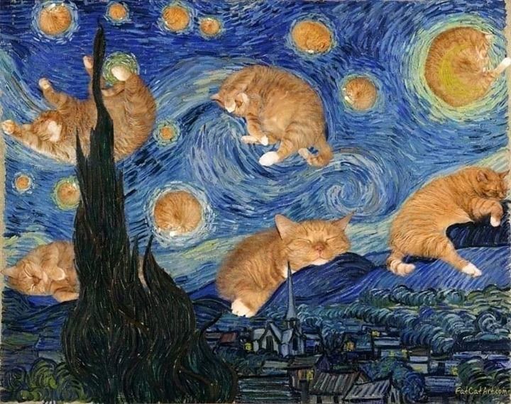 img gattini van Gogh