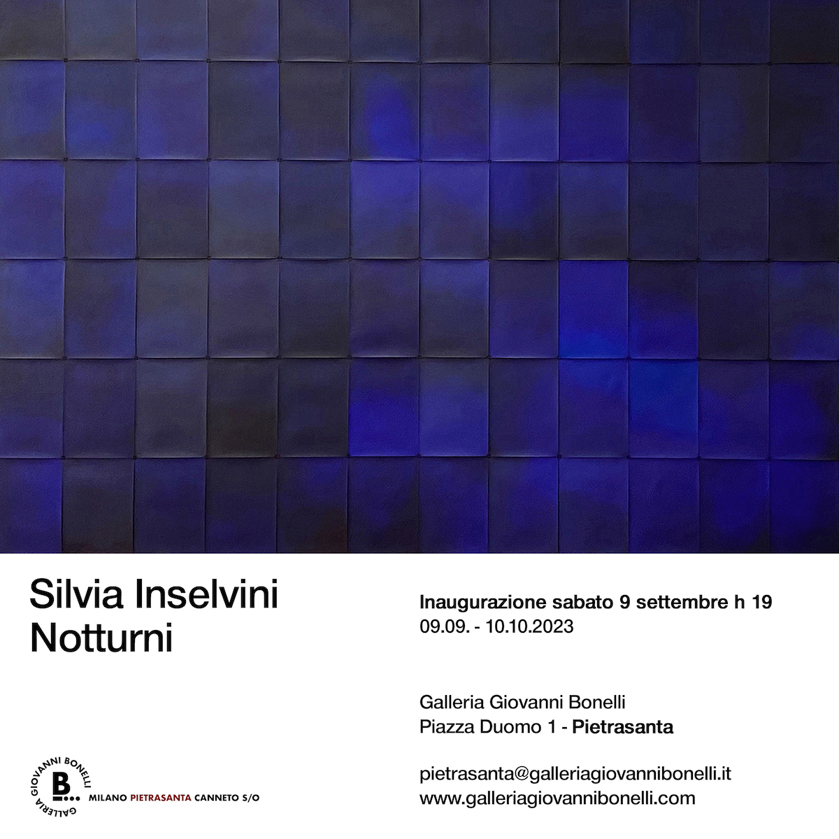 Silvia Inselvini | Notturni