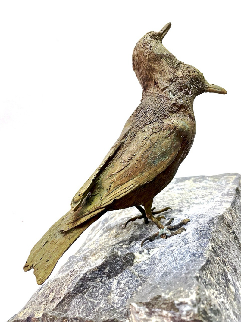 Fabrizio Cotognini, Hybridatio Mundi 