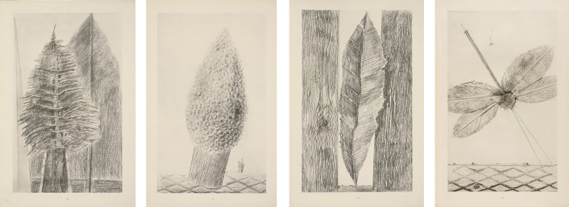 Bruno Munari frottage