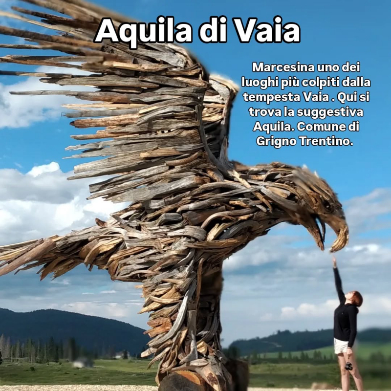 Martalar Aquila di Vaia