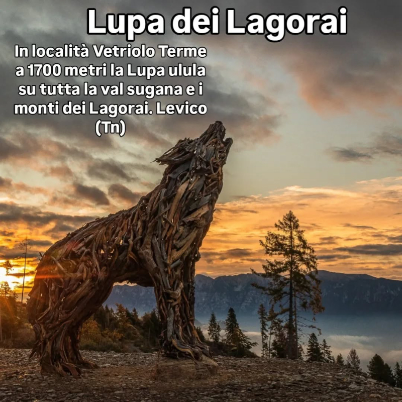 Martalar LUPA DEI LAGORAI