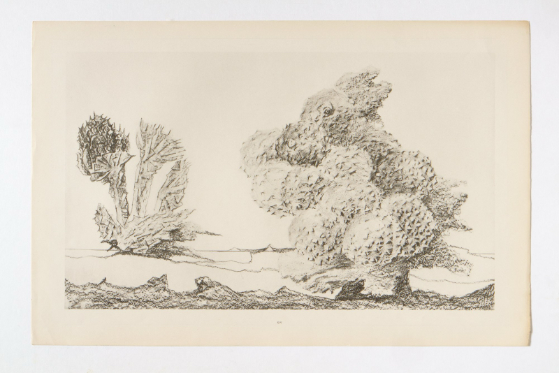 Max Ernst Histoure naturelle