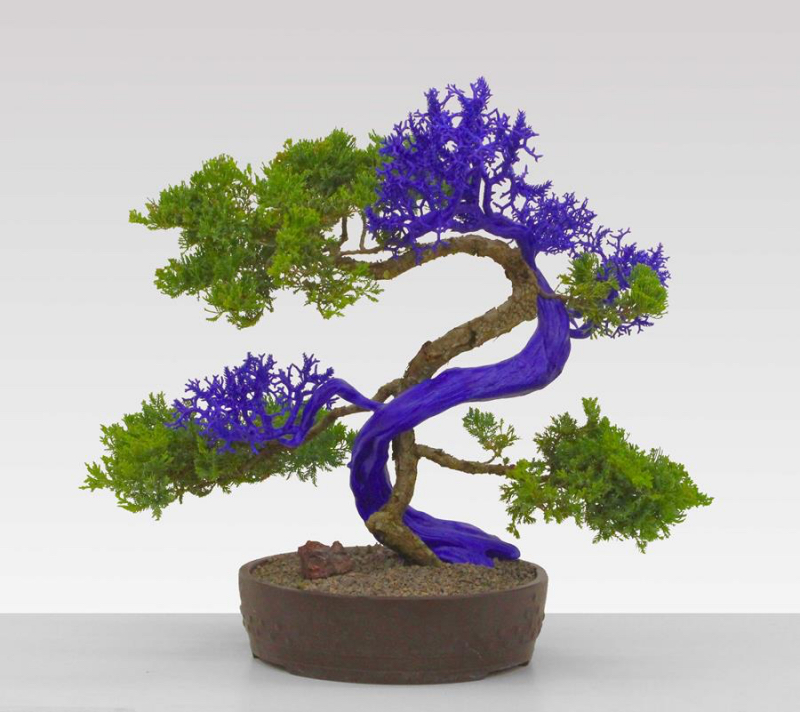 Agnieszka Kurant, Semiotic Life 2