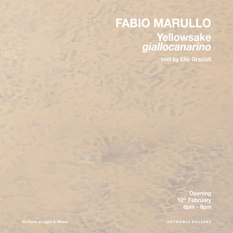 FABIO MARULLO arte